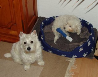 Turi und Jeannie 2 12.12 Kopie.jpg