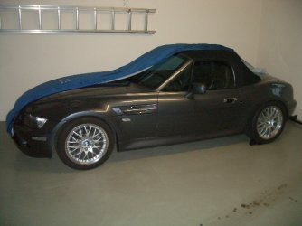Zetti Winter 004.jpg