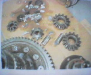 Picture26.jpg