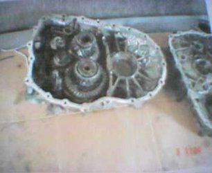 Picture28.jpg
