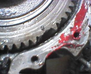 Picture12.jpg
