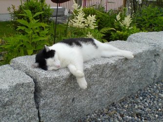 DSC00004.jpg