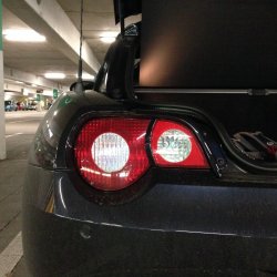 IMG_2975.jpg