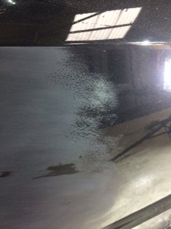 image4.jpeg
