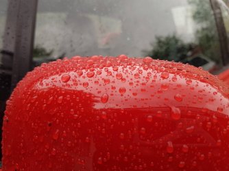 20160523_171636k.jpg