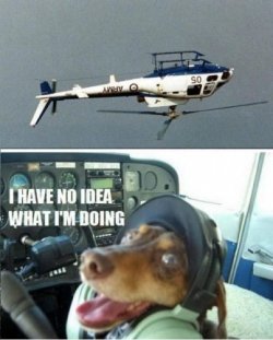 Hubschrauberhund.jpg