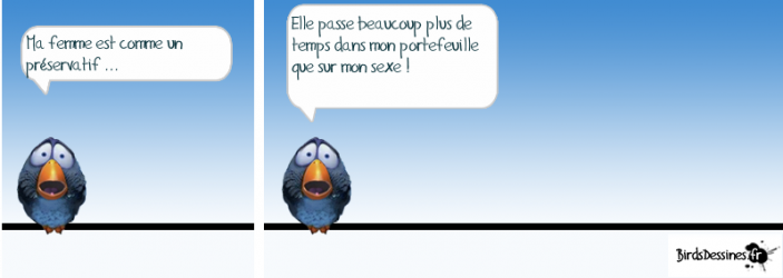 bird.png