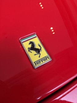 IMG_1361.JPG