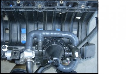 M50 Manifold.jpg