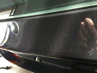 IMG_8443.JPG IMG_8443.JPG