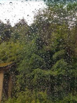 20160625_162327.jpg