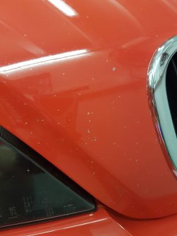 20160626_173954_001k.jpg