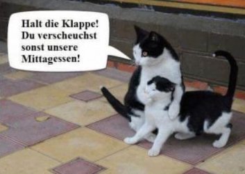 2Aufzeichnen.JPG