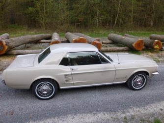 K1600_P1010945.JPG K1600_P1010945.JPG