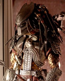 Predator2.jpg