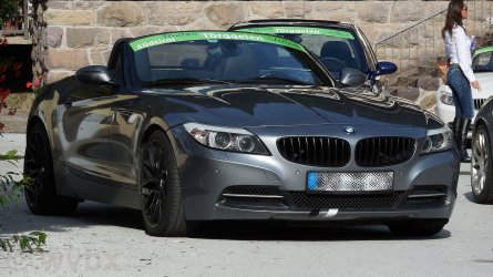 zr3050.JPG