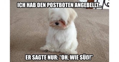 post2-11.jpg