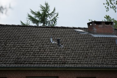 Festblick (2 von 1)-22.jpg