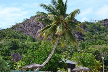 DSC_0353.JPG