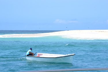 DSC_0196.JPG
