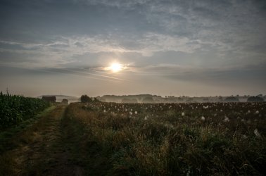 Day5 - Msel (2 von 2)-3.jpg
