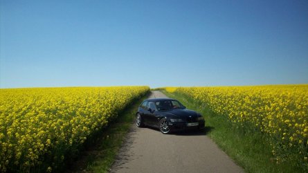 100_3605(2).jpg