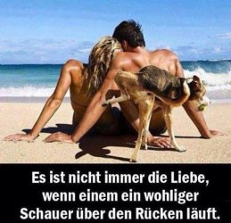 tAufzeichnen.JPG