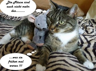 Katz_und_Maus.jpg