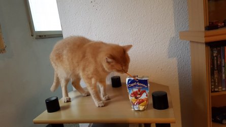 20160804_191248.jpg