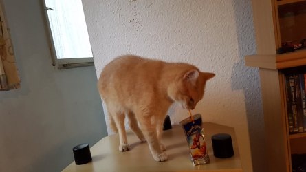 20160804_191312.jpg