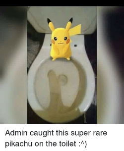 admin-caught-this-super-rare-pikachu-on-the-toilet-3058455.png