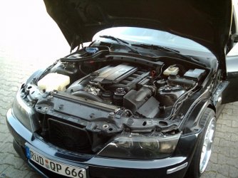 z3qp (75).jpg