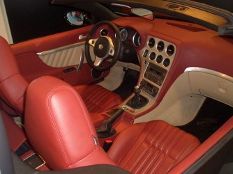 neuer Spider 3.JPG