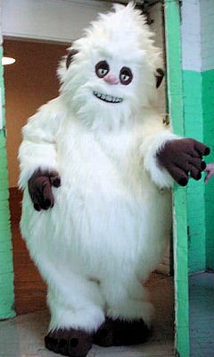 yeti.jpg