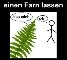 1Aufzeichnen.JPG