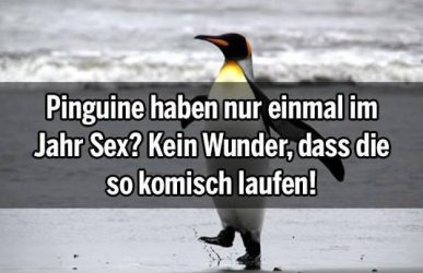 1Aufzeichnen.JPG