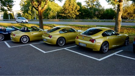 ImageUploadedByzroadster.com - BMW Z Series Community1472072635.341377.jpg