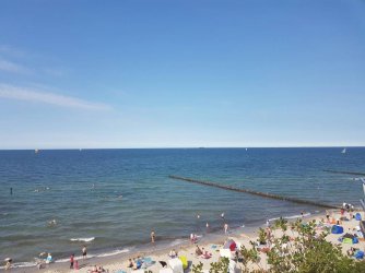 20160827_153330.jpeg