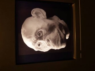 20160829_151334.jpg