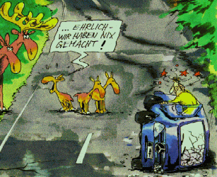 elchtest (1).gif