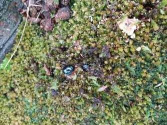 20160904_154747.jpg