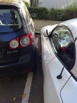 Parken.jpg