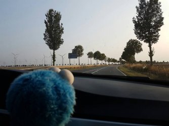 20160909_175907.jpeg