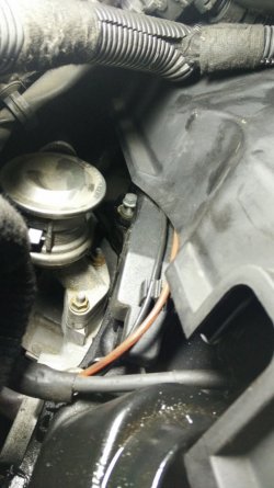 IMG-20160816-WA0002.jpeg IMG-20160816-WA0002.jpeg