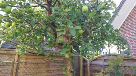 20160912_180101.jpeg