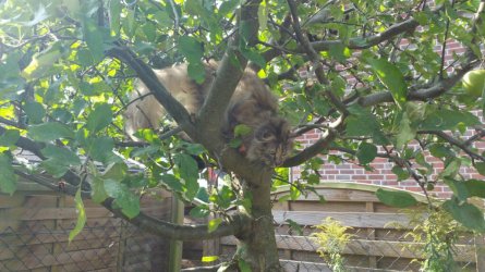 20160911_134833.jpeg