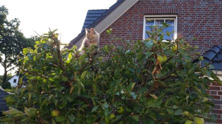 20160912_180338.jpeg