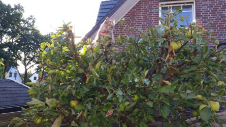 20160912_180333.jpeg