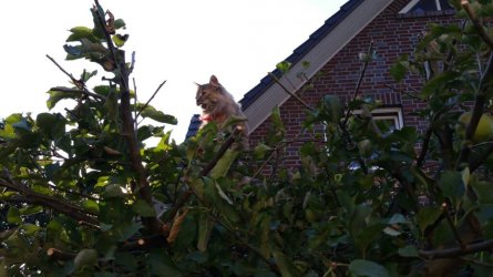 20160912_180330.jpeg