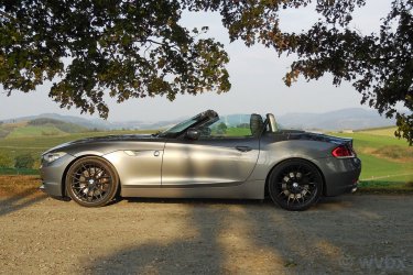 zr5328.JPG